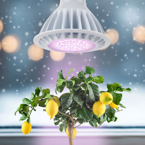LED-Pflanzenlampe SPOT [18W] Vollspektrum