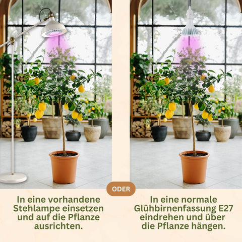 LED-Pflanzenlampe SPOT [18W] Vollspektrum