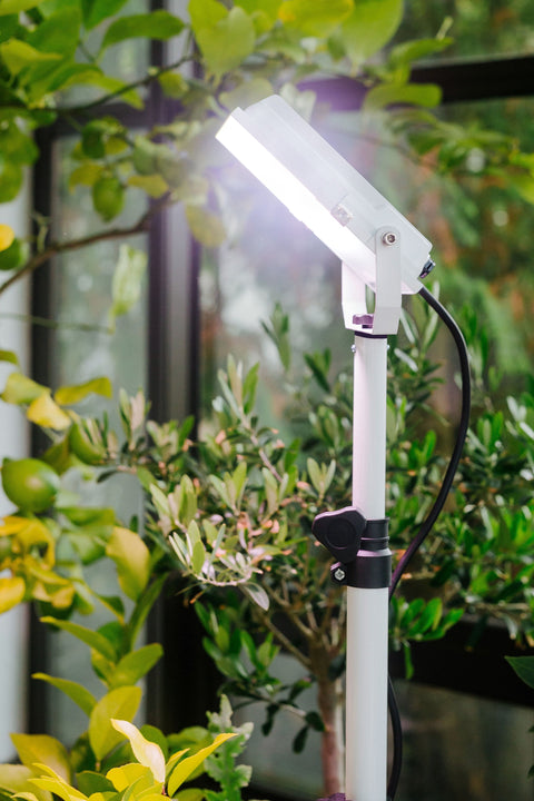LED Pflanzenlampe [20W] Vollspektrum