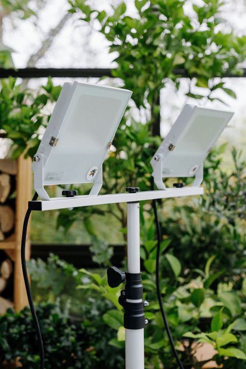 LED Pflanzenlampe [20W] Vollspektrum