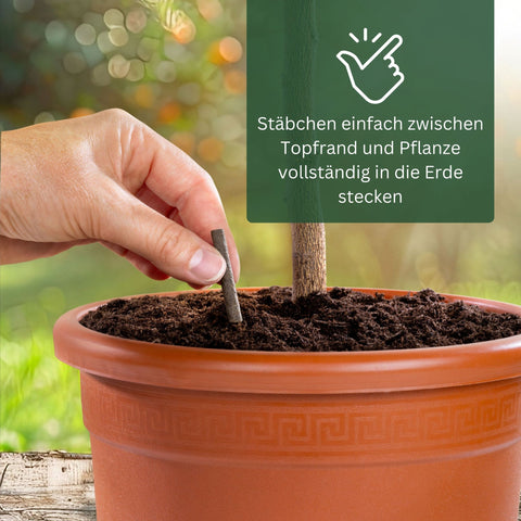 Meine Orangerie BIO-Düngestäbchen - organischer Zitrusdünger