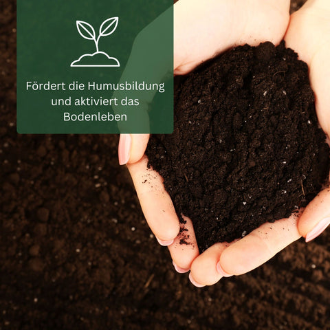 Meine Orangerie BIO-Düngestäbchen - organischer Zitrusdünger