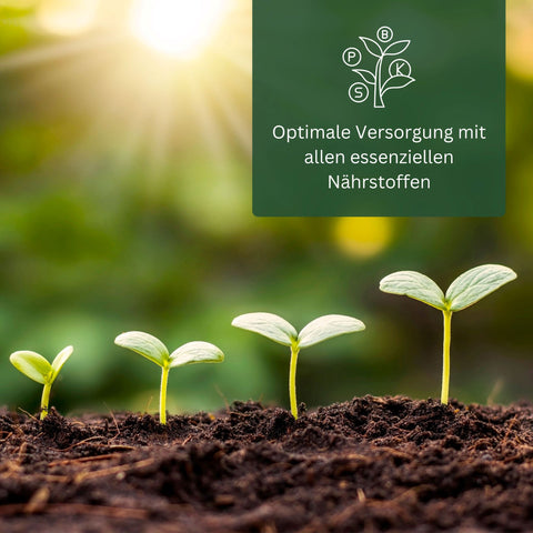 Meine Orangerie BIO-Düngestäbchen - organischer Zitrusdünger