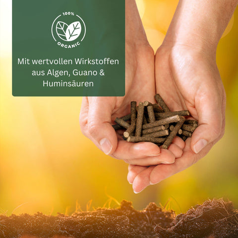 Meine Orangerie BIO-Düngestäbchen - organischer Zitrusdünger