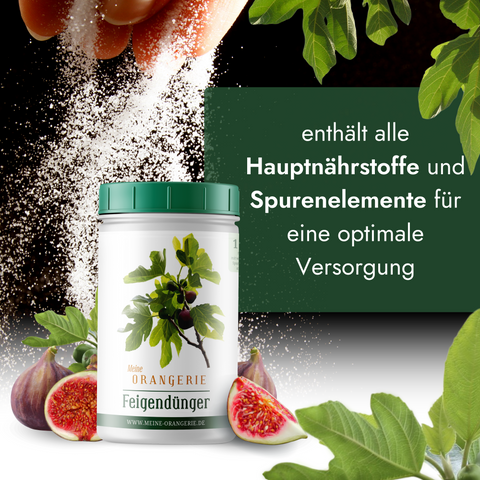 Meine Orangerie Feigendünger - Premium Pflanzendünger für Feigenbäume