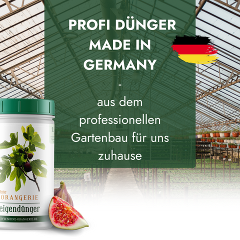 Meine Orangerie Feigendünger - Premium Pflanzendünger für Feigenbäume