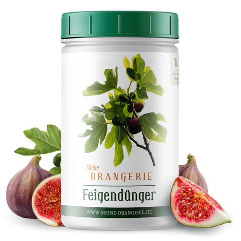 Meine Orangerie Feigendünger - Premium Pflanzendünger für Feigenbäume