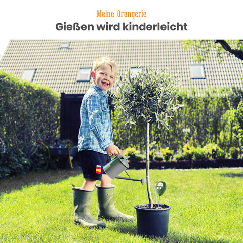 Feuchtigkeitsmesser für Pflanzen - Boden Feuchtigkeitsmessgerät