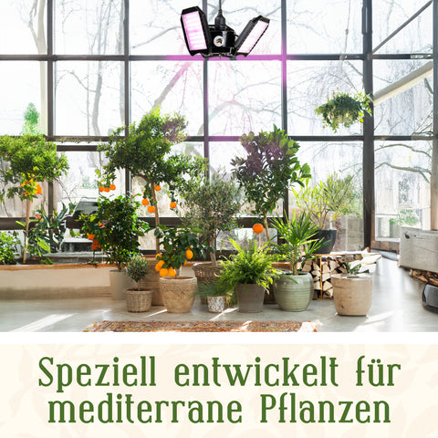 LED-Pflanzenlampe FLEX [100W] Vollspektrum