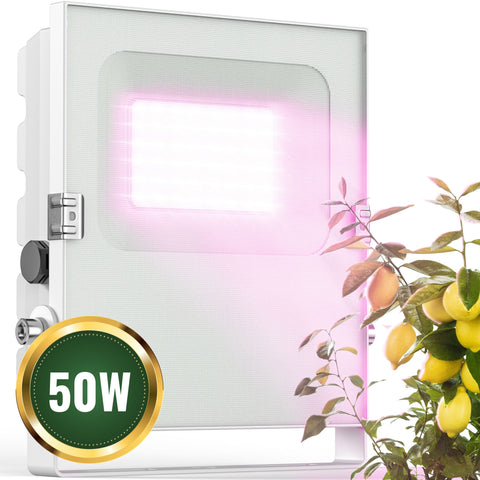 LED Pflanzenlampe [50W] Vollspektrum