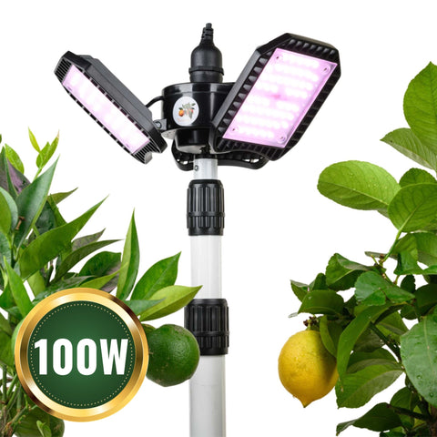 LED-Pflanzenlampe FLEX [100W] Vollspektrum