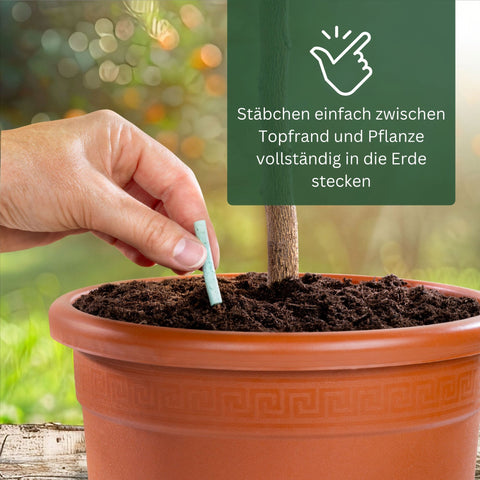 Meine Orangerie Düngestäbchen - mineralischer Zitrusdünger