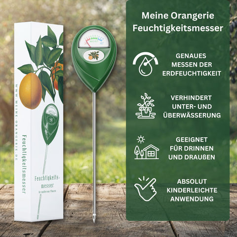Oliven Pflegepaket [Mezzo] - Pflegeset für Olivenbäume