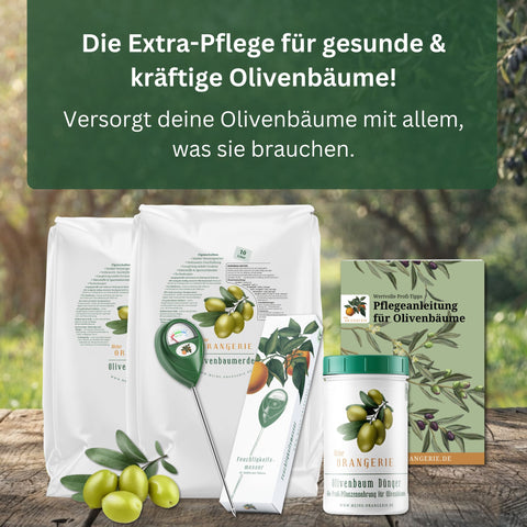 Oliven Pflegepaket [Mezzo] - Pflegeset für Olivenbäume
