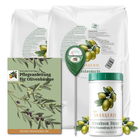 Oliven Pflegepaket [Mezzo] - Pflegeset für Olivenbäume