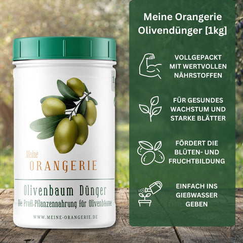 Oliven Pflegepaket [Mezzo] - Pflegeset für Olivenbäume