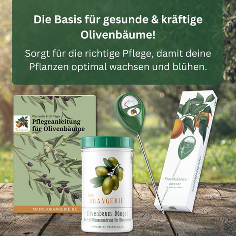 Oliven Pflegepaket [Piccolo] - Pflegeset für Olivenbäume
