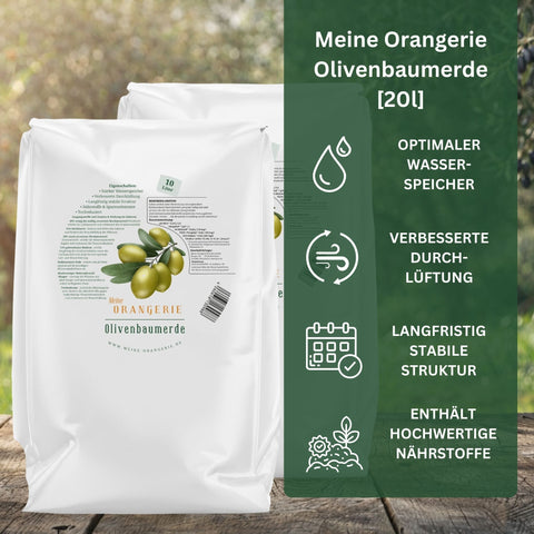 Erste Hilfe Rettungspaket für alle Olivenbäume