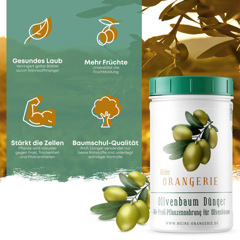 Meine Orangerie Olivendünger - Premium Pflanzendünger für Olivenbäume