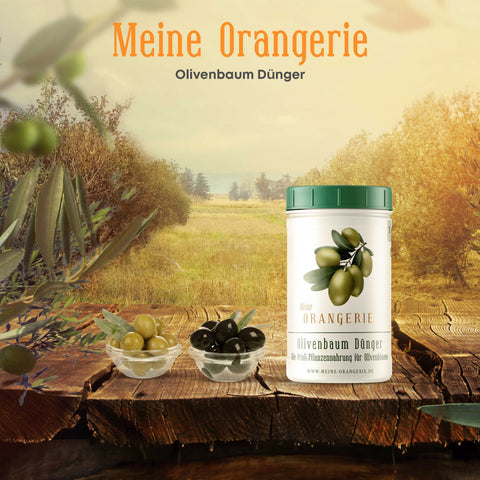 Meine Orangerie Olivendünger - Premium Pflanzendünger für Olivenbäume
