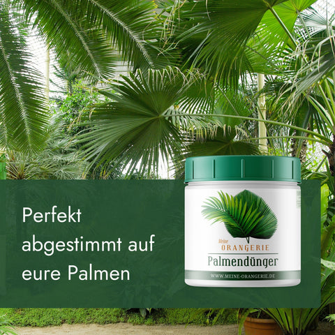 Meine Orangerie Palmendünger - Premium Pflanzendünger für Palmen