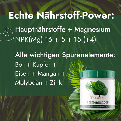Meine Orangerie Palmendünger - Premium Pflanzendünger für Palmen