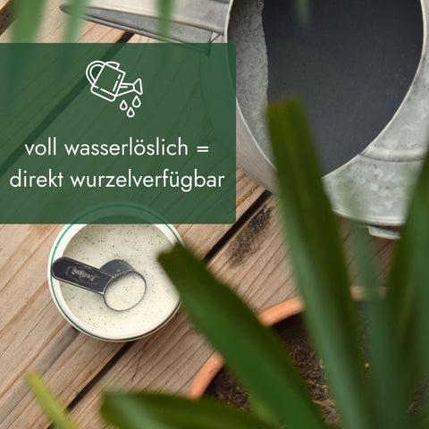 Meine Orangerie Palmendünger - Premium Pflanzendünger für Palmen