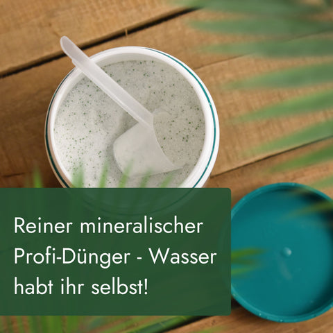 Meine Orangerie Palmendünger - Premium Pflanzendünger für Palmen