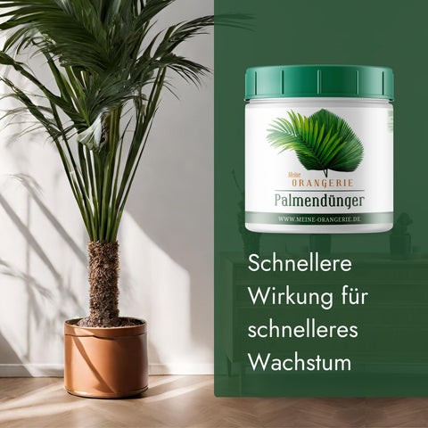Meine Orangerie Palmendünger - Premium Pflanzendünger für Palmen