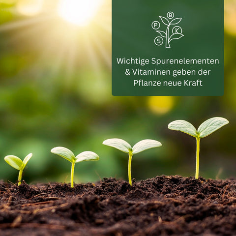 Meine Orangerie - Power-Repair-Dünger - Pflanzenstärkungsmittel und Wurzelaktivator
