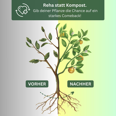 Meine Orangerie - Power-Repair-Dünger - Pflanzenstärkungsmittel und Wurzelaktivator