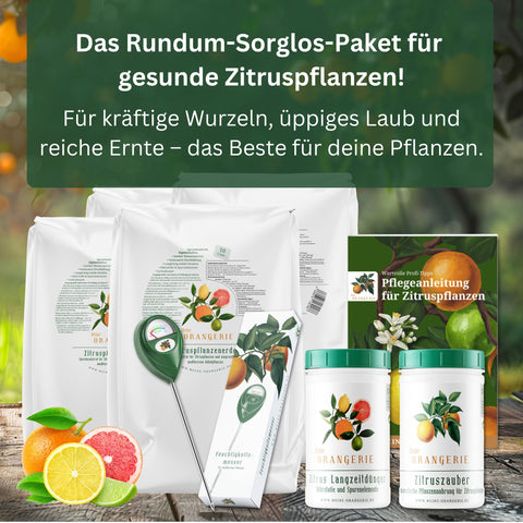 Citrus Pflegepaket [Grande] - Pflegeset für Zitruspflanzen