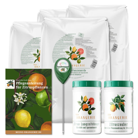 Citrus Pflegepaket [Grande] - Pflegeset für Zitruspflanzen
