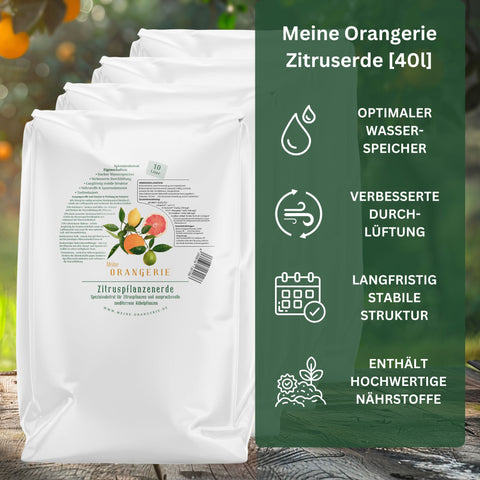 Citrus Pflegepaket [Grande] - Pflegeset für Zitruspflanzen