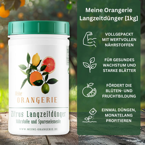 Citrus Umtopf-Paket