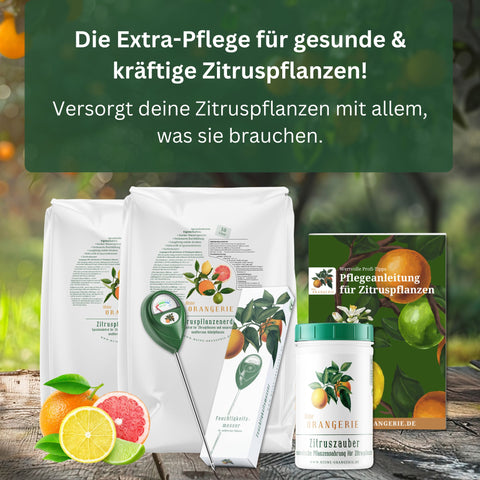Citrus Pflegepaket [Mezzo] - Pflegeset für Zitruspflanzen