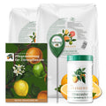 Citrus Pflegepaket [Mezzo] - Pflegeset für Zitruspflanzen