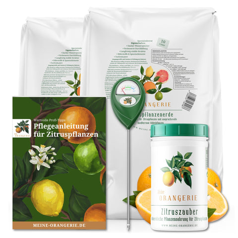 Citrus Pflegepaket [Mezzo] - Pflegeset für Zitruspflanzen