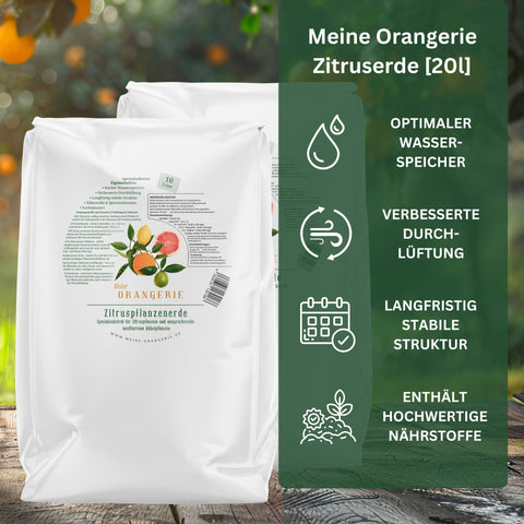 Citrus Umtopf-Paket