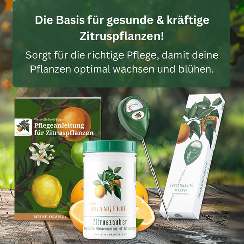 Citrus Pflegepaket [Piccolo] - Pflegeset für Zitruspflanzen