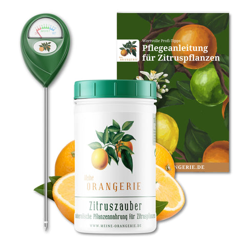 Citrus Pflegepaket [Piccolo] - Pflegeset für Zitruspflanzen