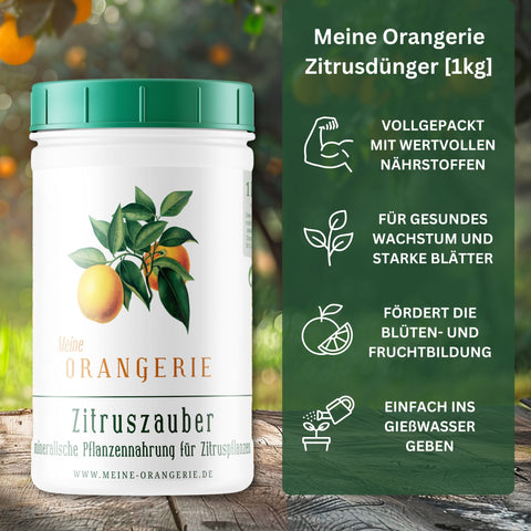 Citrus Pflegepaket [Grande] - Pflegeset für Zitruspflanzen