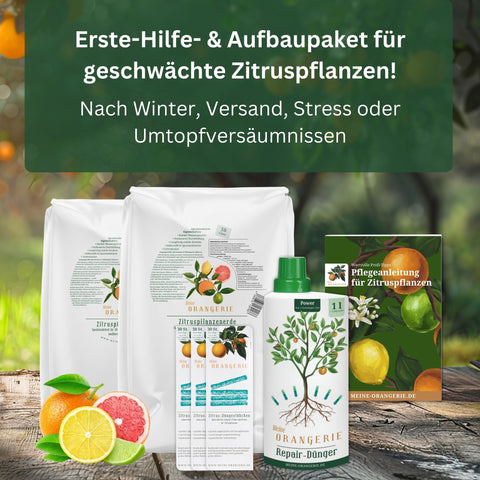 Erste Hilfe Rettungspaket für alle Zitruspflanzen
