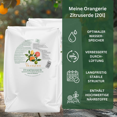 Erste Hilfe Rettungspaket für alle Zitruspflanzen