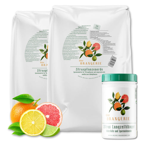 Citrus Umtopf-Paket