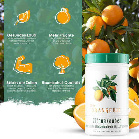 Meine Orangerie Zitruszauber - Profi Zitrusdünger für alle Zitruspflanzen