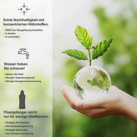 Meine Orangerie Zitruszauber - Profi Zitrusdünger für alle Zitruspflanzen