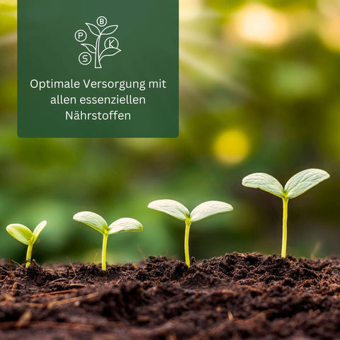 Meine Orangerie Düngestäbchen - mineralischer Zitrusdünger