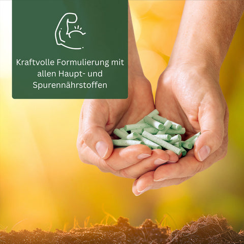 Meine Orangerie Düngestäbchen - mineralischer Zitrusdünger