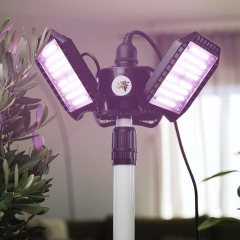 Pflanzenlampen